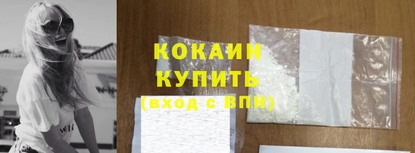 сатива Богданович