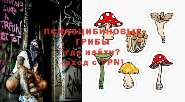 сатива Богданович
