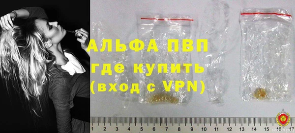 сатива Богданович