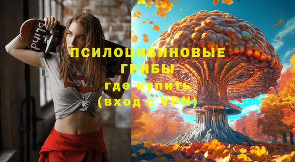 сатива Богданович